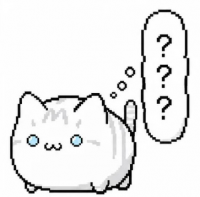 猫,白猫,困惑,疑問,？