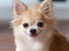 Screenshot 2025-02-09 16.23.10.png