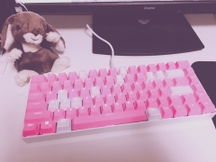 新しいキーボード！(๑`･ᴗ･´๑)